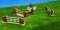 Parkurové překážky pro koníky KIDS GLOBE FARMING