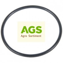 Těsnící kroužek sacího filtru ARAG 313