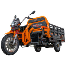 RURIS PILOT 3130G E-tříkolka černá
