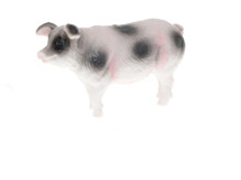 Prasátko KIDS GLOBE FARMING 570456