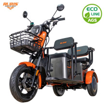 RURIS PILOT 3020G E-tříkolka osobní šedá