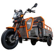 RURIS PILOT 3110G MINI E-tříkolka šedá