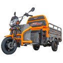 RURIS PILOT 3120A E-tříkolka šedá 